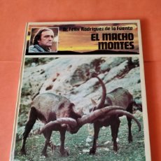 Libros de segunda mano: DR. FELIX RODRIGUEZ DE LA FUENTE. EL MACHO MONTES. EL HOMBRE Y LA TIERRA. CÍRCULO 1979