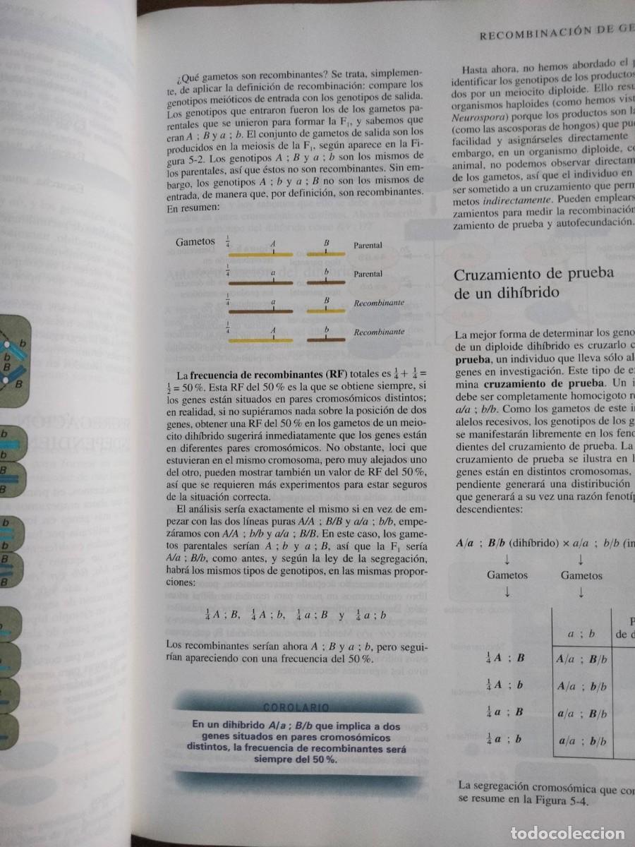 Libros de segunda mano: Gen&eacute;tica moderna, de VV.AA - Foto 3