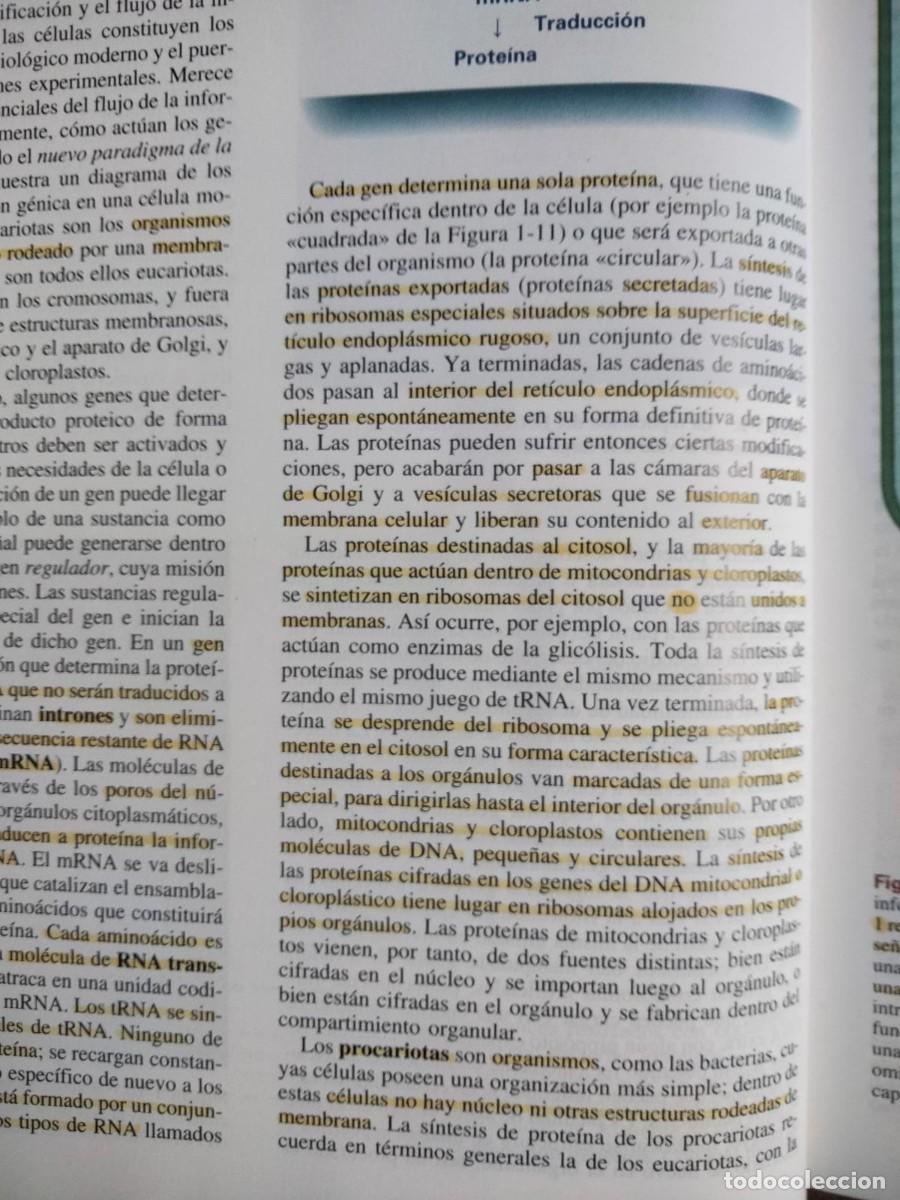 Libros de segunda mano: Gen&eacute;tica moderna, de VV.AA - Foto 4