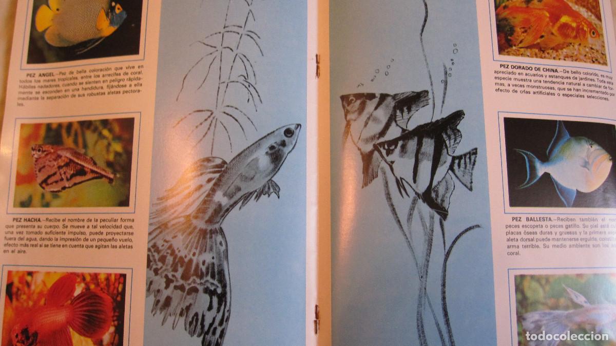 Libros de segunda mano: FHER: LIBRIFHER N&ordm; 8: PECES. A ESTRENAR (1.975) - Foto 2