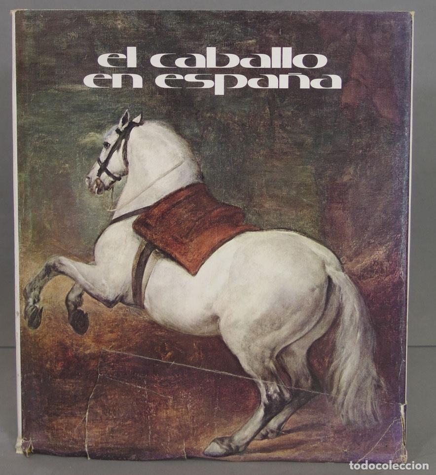 Libros de segunda mano: EL CABALLO EN ESPA&Ntilde;A - Foto 1