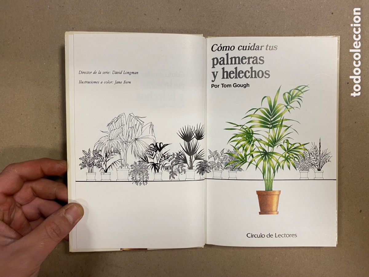 Libros de segunda mano: C&Oacute;MO CUIDAR TUS PALMERAS Y HELECHOS. TOM GOUGH. C&Iacute;RCULO DE LECTORES 1987. - Foto 2