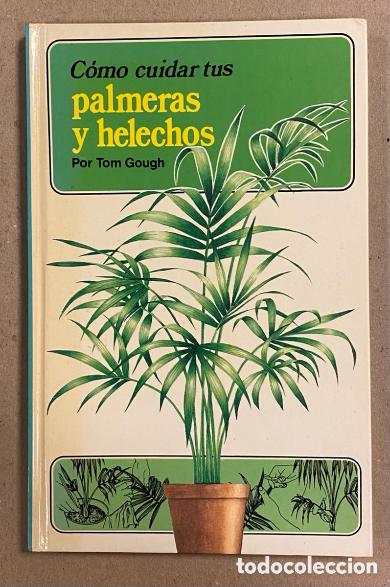 Libros de segunda mano: C&Oacute;MO CUIDAR TUS PALMERAS Y HELECHOS. TOM GOUGH. C&Iacute;RCULO DE LECTORES 1987. - Foto 1