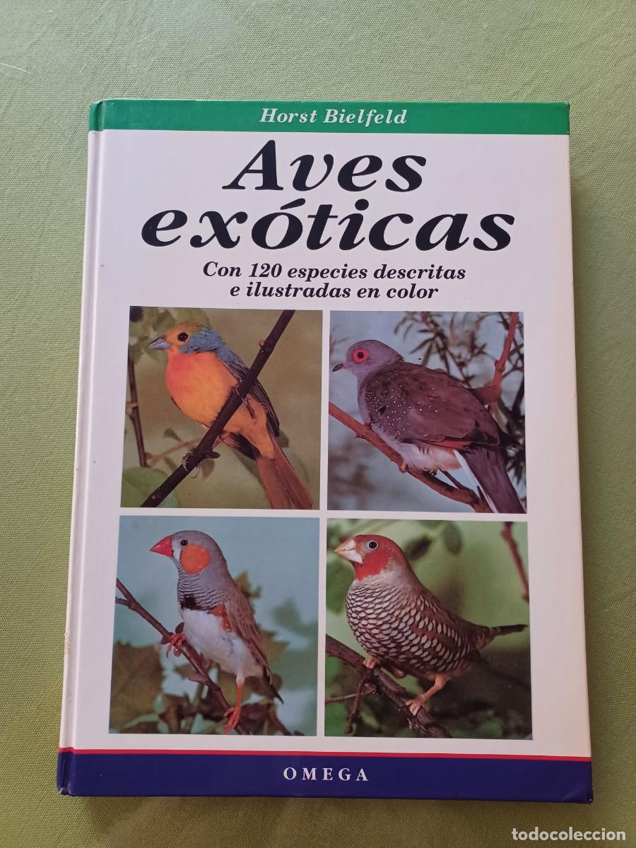 Libros de segunda mano: HORST BIELFELD. AVES EXOTICAS. OMEGA - Foto 1
