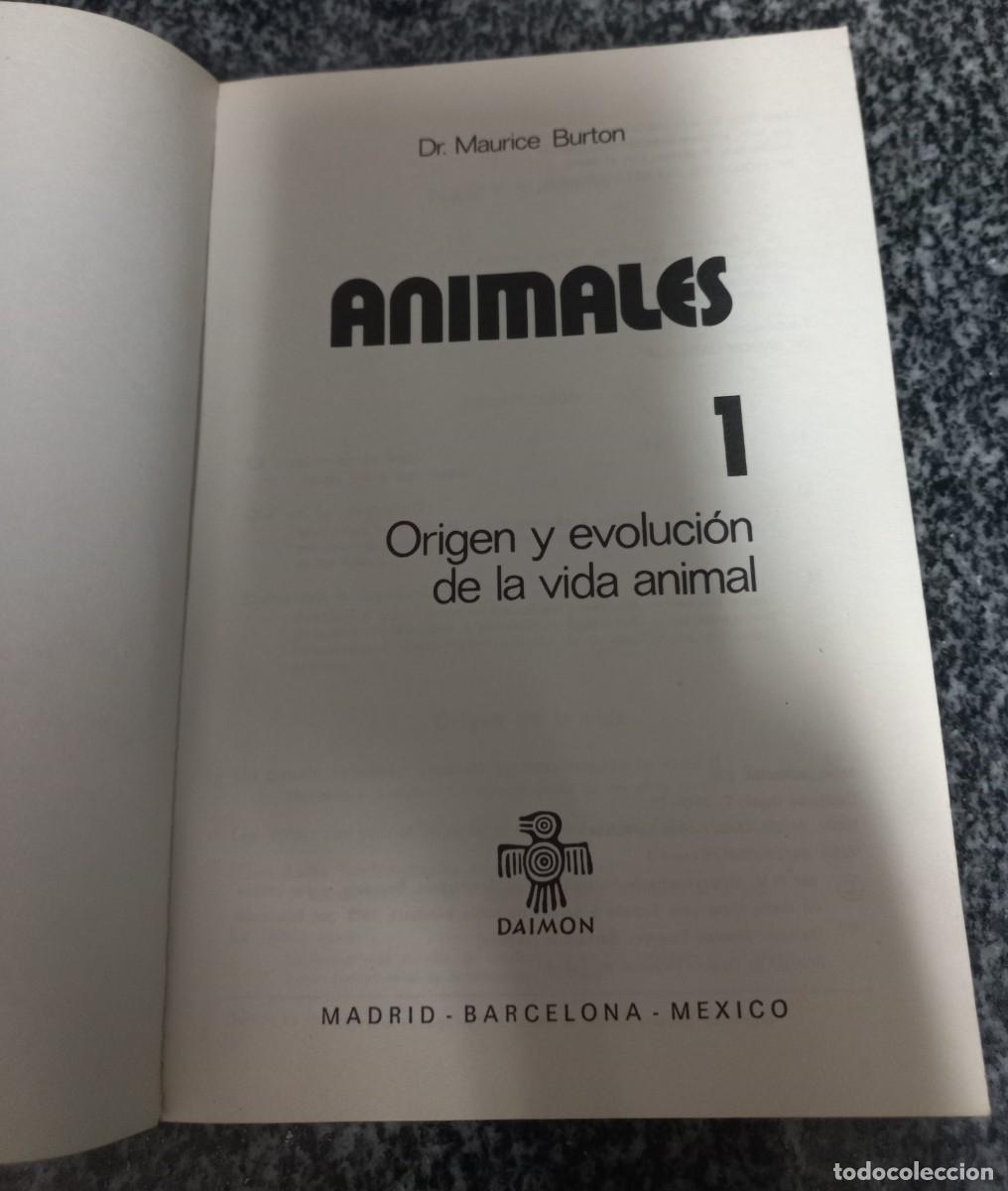 Libros de segunda mano: LOTE DE LIBROS ANIMALES - DAIMON - Foto 2