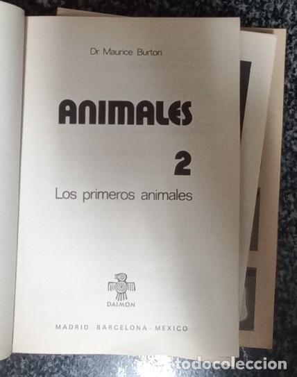 Libros de segunda mano: LOTE DE LIBROS ANIMALES - DAIMON - Foto 4