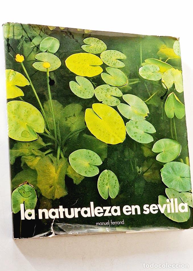 Libros de segunda mano: LA NATURALEZA EN SEVILLA - FERRAND, Manuel - Foto 1