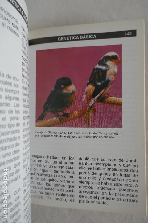 Libros de segunda mano: GUIA COMPLETA DE LOS CANARIOS. JOHN PORTER. - Foto 15