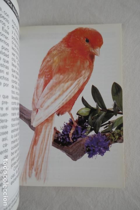 Libros de segunda mano: GUIA COMPLETA DE LOS CANARIOS. JOHN PORTER. - Foto 16