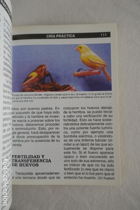 Libros de segunda mano: GUIA COMPLETA DE LOS CANARIOS. JOHN PORTER. - Foto 17