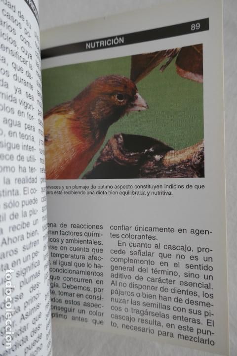 Libros de segunda mano: GUIA COMPLETA DE LOS CANARIOS. JOHN PORTER. - Foto 18
