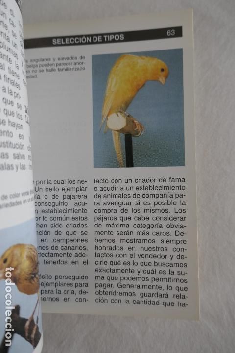 Libros de segunda mano: GUIA COMPLETA DE LOS CANARIOS. JOHN PORTER. - Foto 19