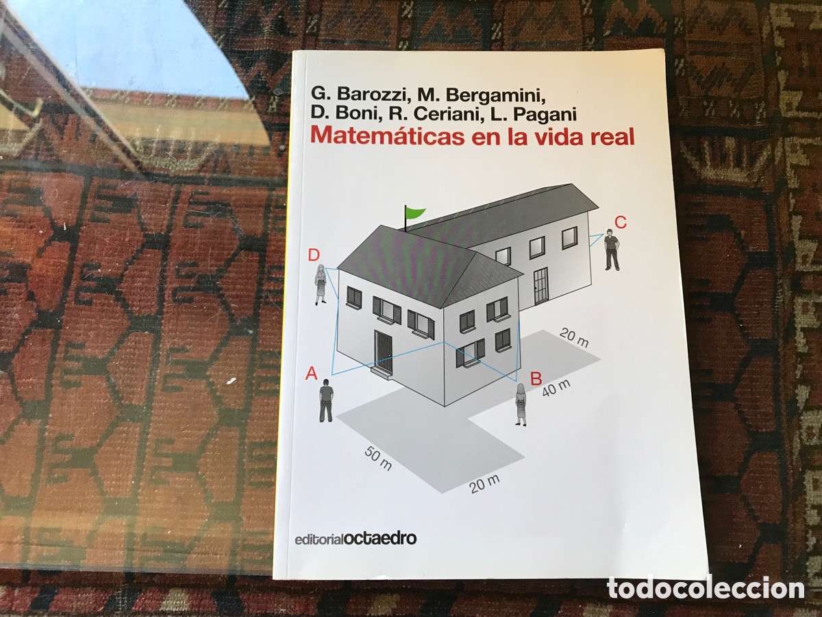 Gebrauchte B&uuml;cher der Wissenschaften: Matem&aacute;ticas en la vida real. G. Barozzi&hellip;Octaedro. Como nuevo