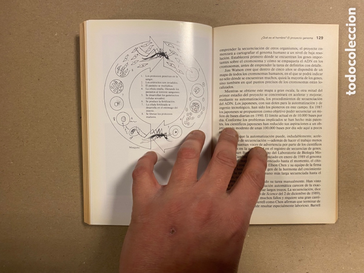 Libros de segunda mano: MANIPULADORES DE GENES. JOHN NEWELL. EDICIONES PIR&Aacute;MIDE 1990. - Foto 5