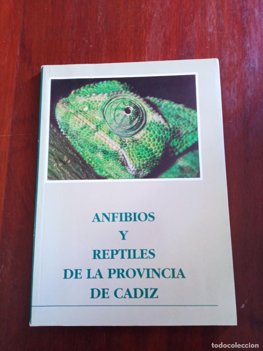 Libros de segunda mano: Anfibios y reptiles de la provincia de C&aacute;diz - Foto 1