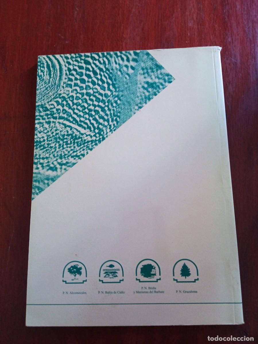 Libros de segunda mano: Anfibios y reptiles de la provincia de C&aacute;diz - Foto 2