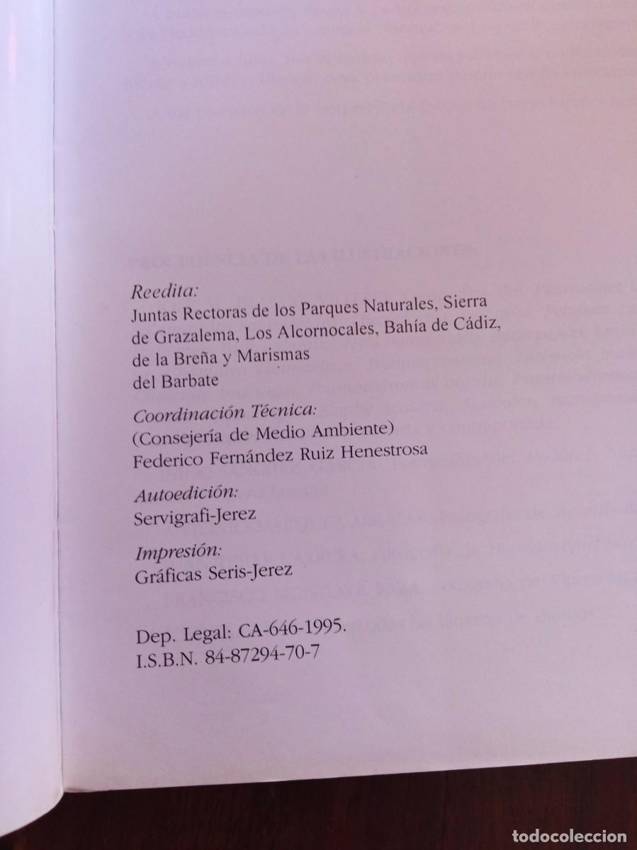Libros de segunda mano: Anfibios y reptiles de la provincia de C&aacute;diz - Foto 3