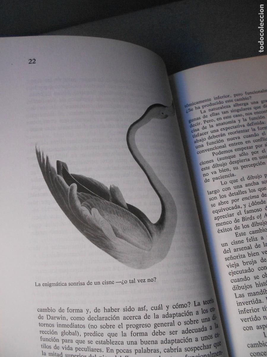 Libros de segunda mano: LA SONRISA DEL FLAMENCO - Foto 3