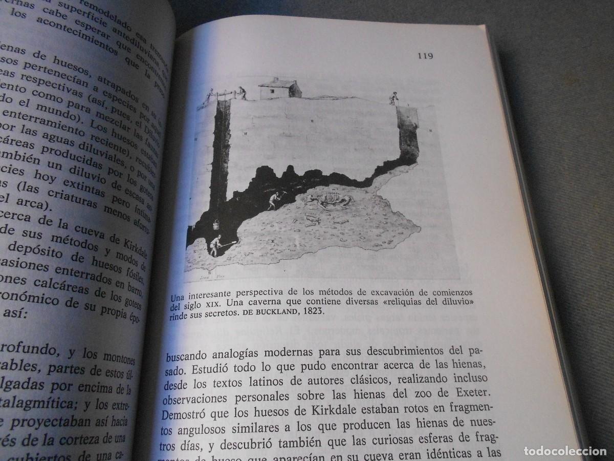 Libros de segunda mano: LA SONRISA DEL FLAMENCO - Foto 4