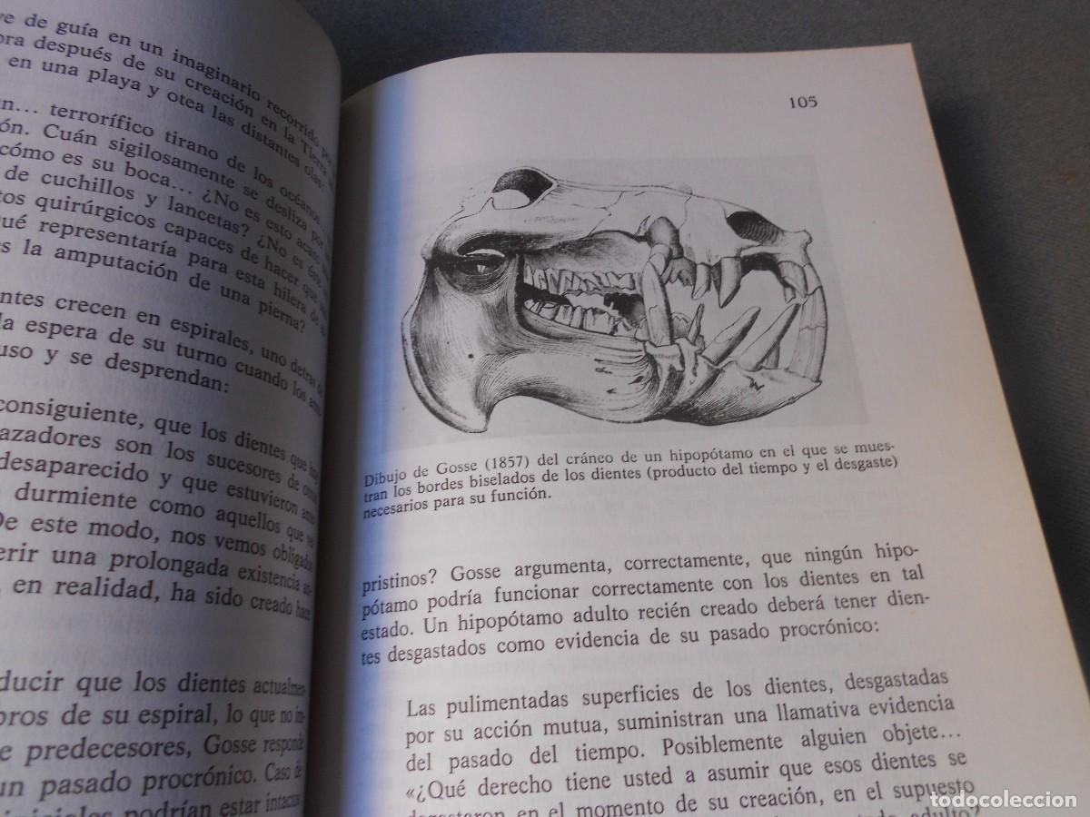 Libros de segunda mano: LA SONRISA DEL FLAMENCO - Foto 5