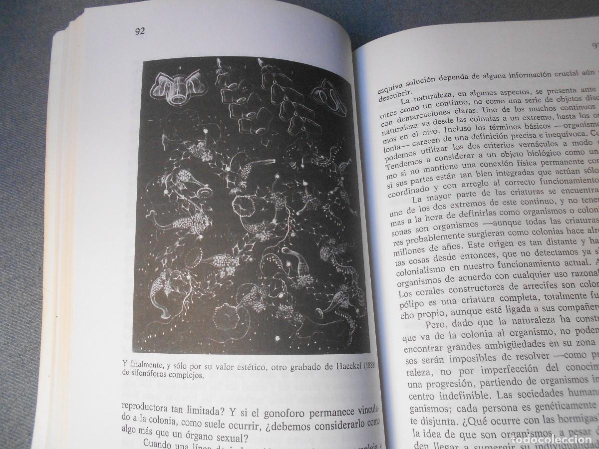 Libros de segunda mano: LA SONRISA DEL FLAMENCO - Foto 6