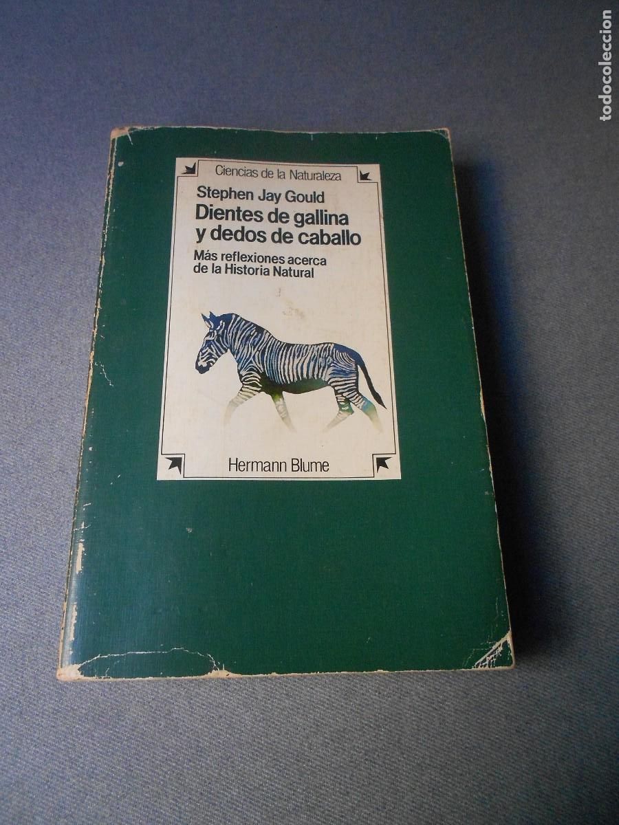 Libros de segunda mano: DIENTES DE GALLINA Y DEDOS DE CABALLO - Foto 1