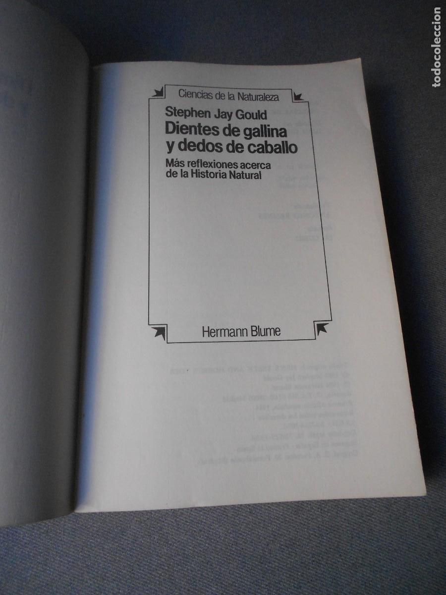 Libros de segunda mano: DIENTES DE GALLINA Y DEDOS DE CABALLO - Foto 2