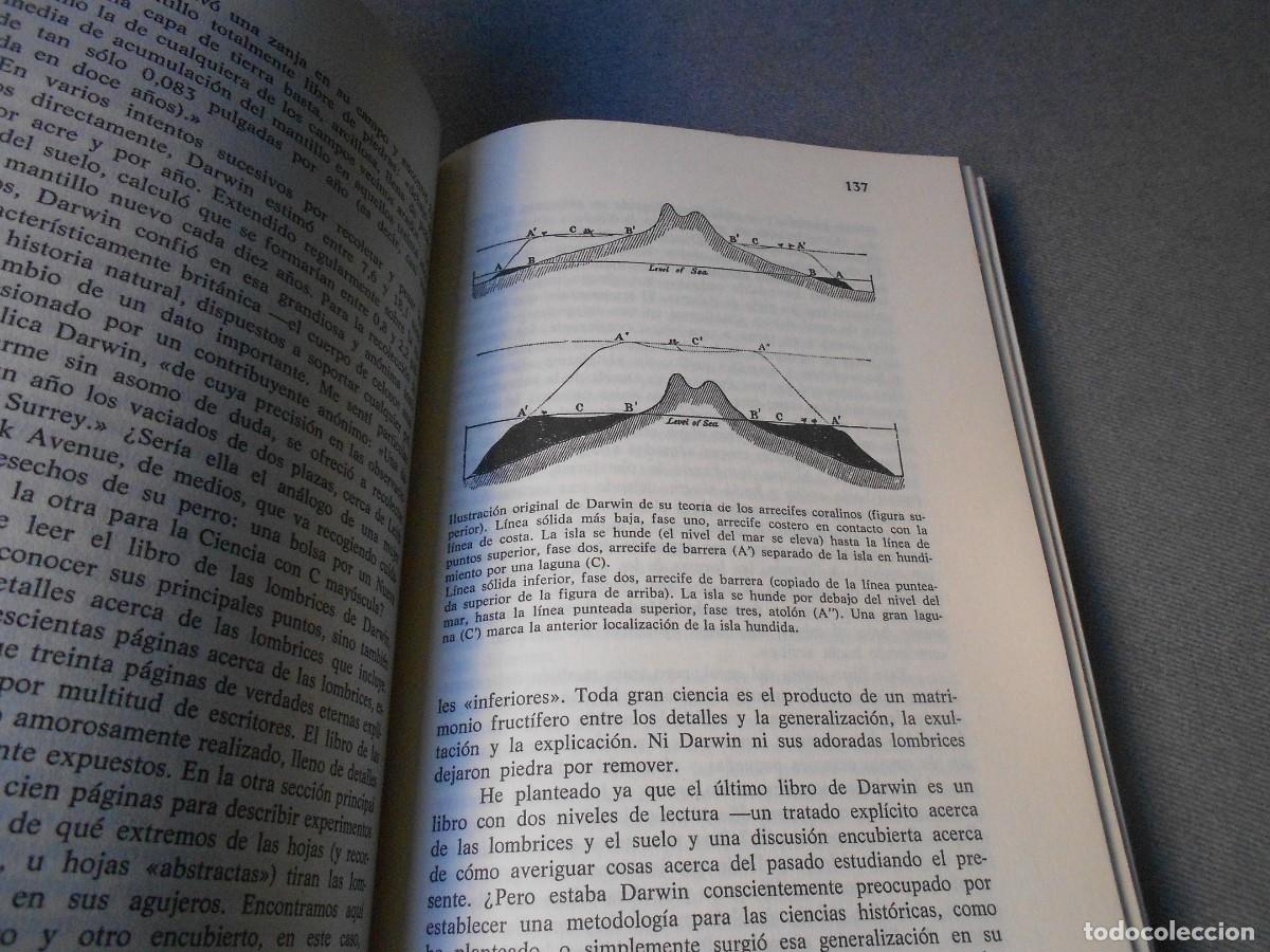 Libros de segunda mano: DIENTES DE GALLINA Y DEDOS DE CABALLO - Foto 3