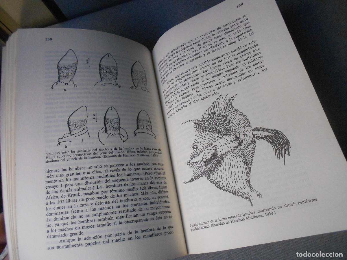 Libros de segunda mano: DIENTES DE GALLINA Y DEDOS DE CABALLO - Foto 4