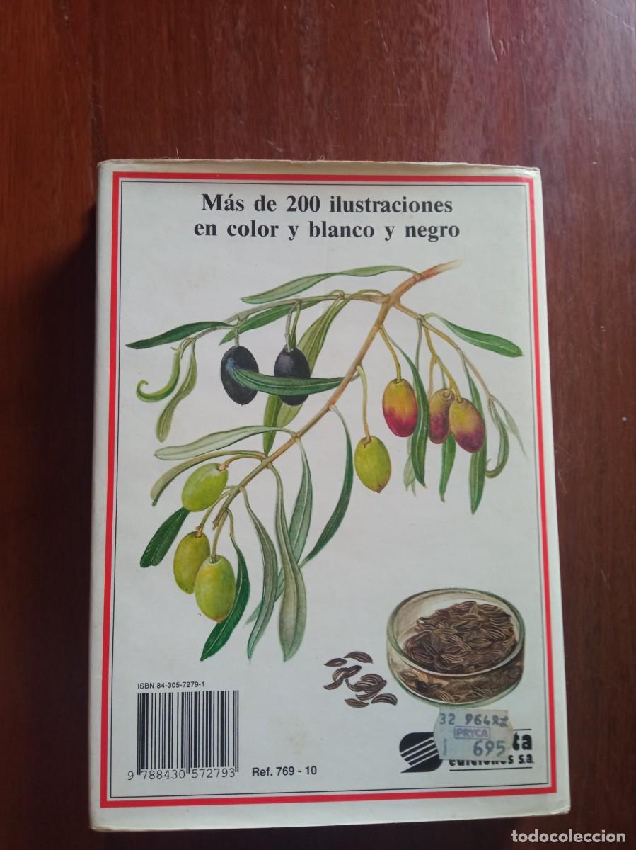 Libros de segunda mano: Plantas arom&aacute;ticas y culinarias - Foto 2