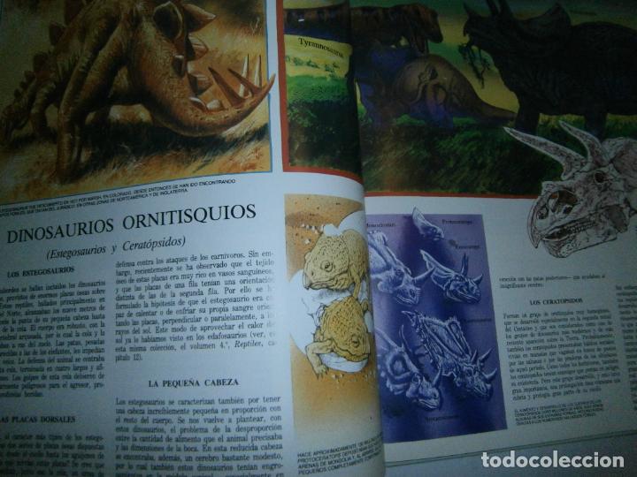 Libros de segunda mano: ESPECTACULAR Y GRAN VOLUMEN - DINOSAURIOS Y AVES - LC3 - Foto 2