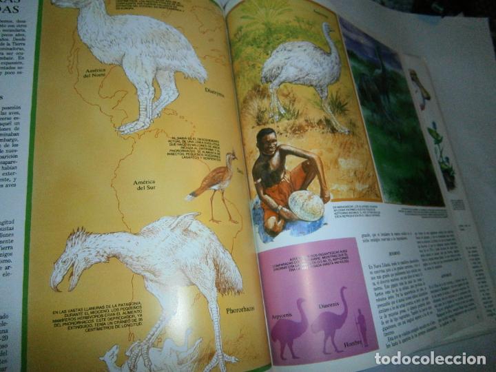 Libros de segunda mano: ESPECTACULAR Y GRAN VOLUMEN - DINOSAURIOS Y AVES - LC3 - Foto 3