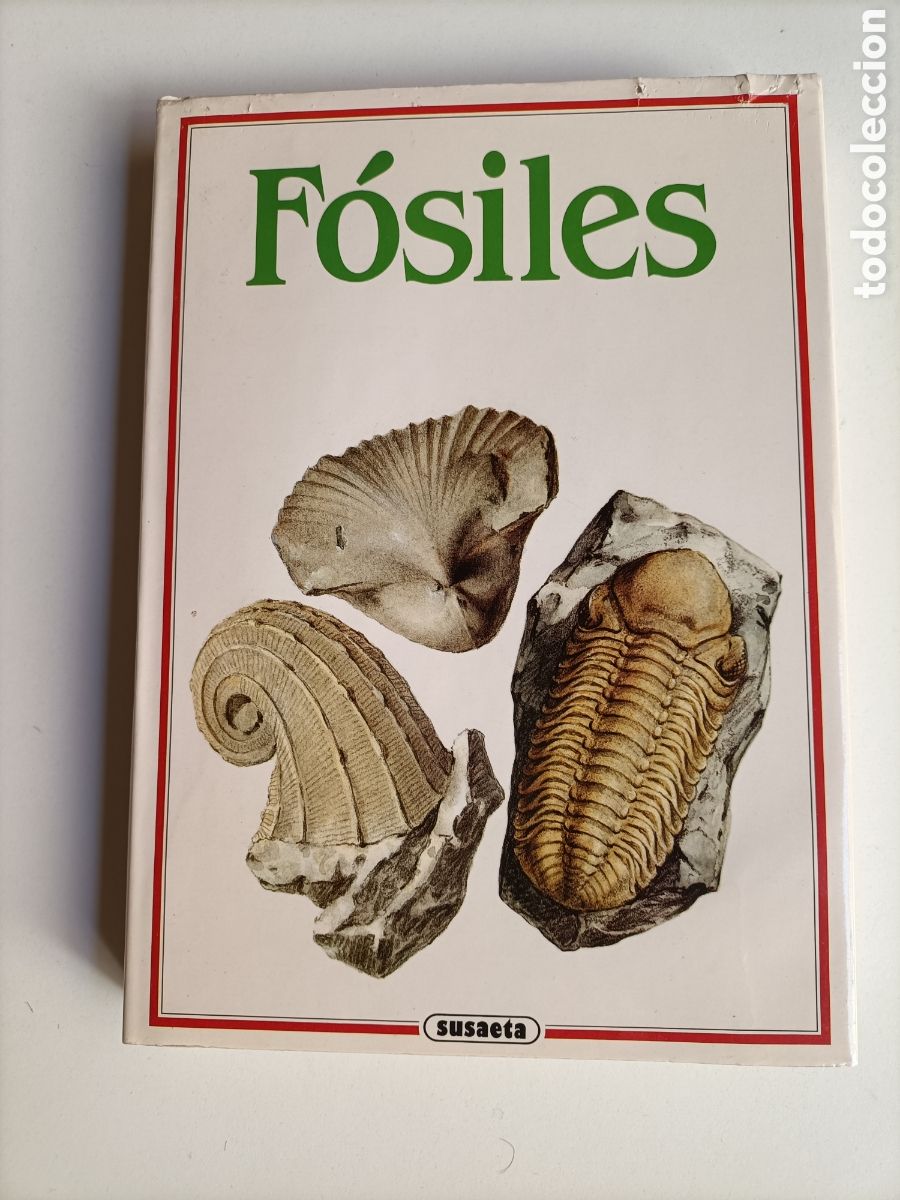 Libros de segunda mano: F&oacute;siles Rudolf Prokop - Foto 2