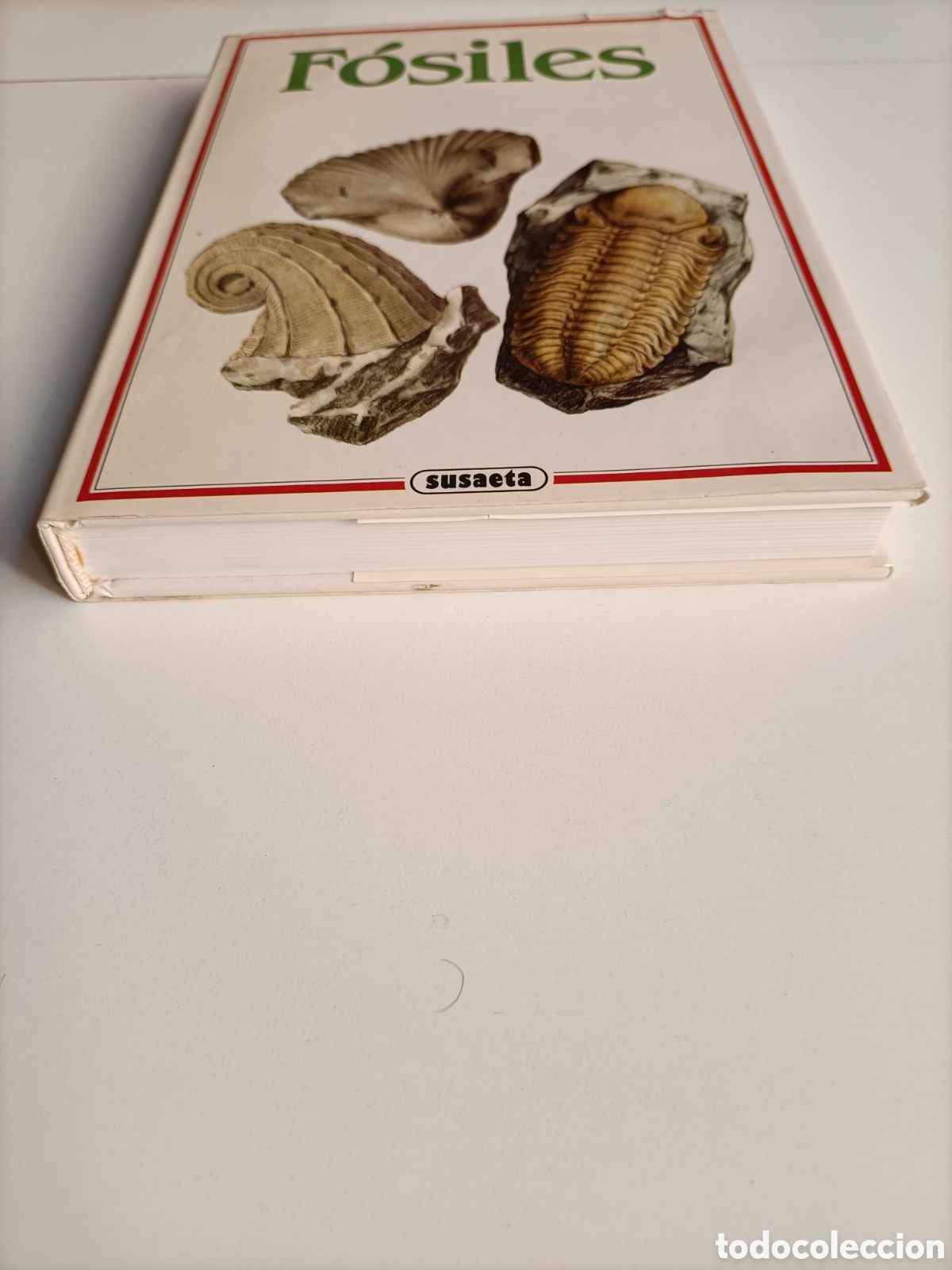 Libros de segunda mano: F&oacute;siles Rudolf Prokop - Foto 3