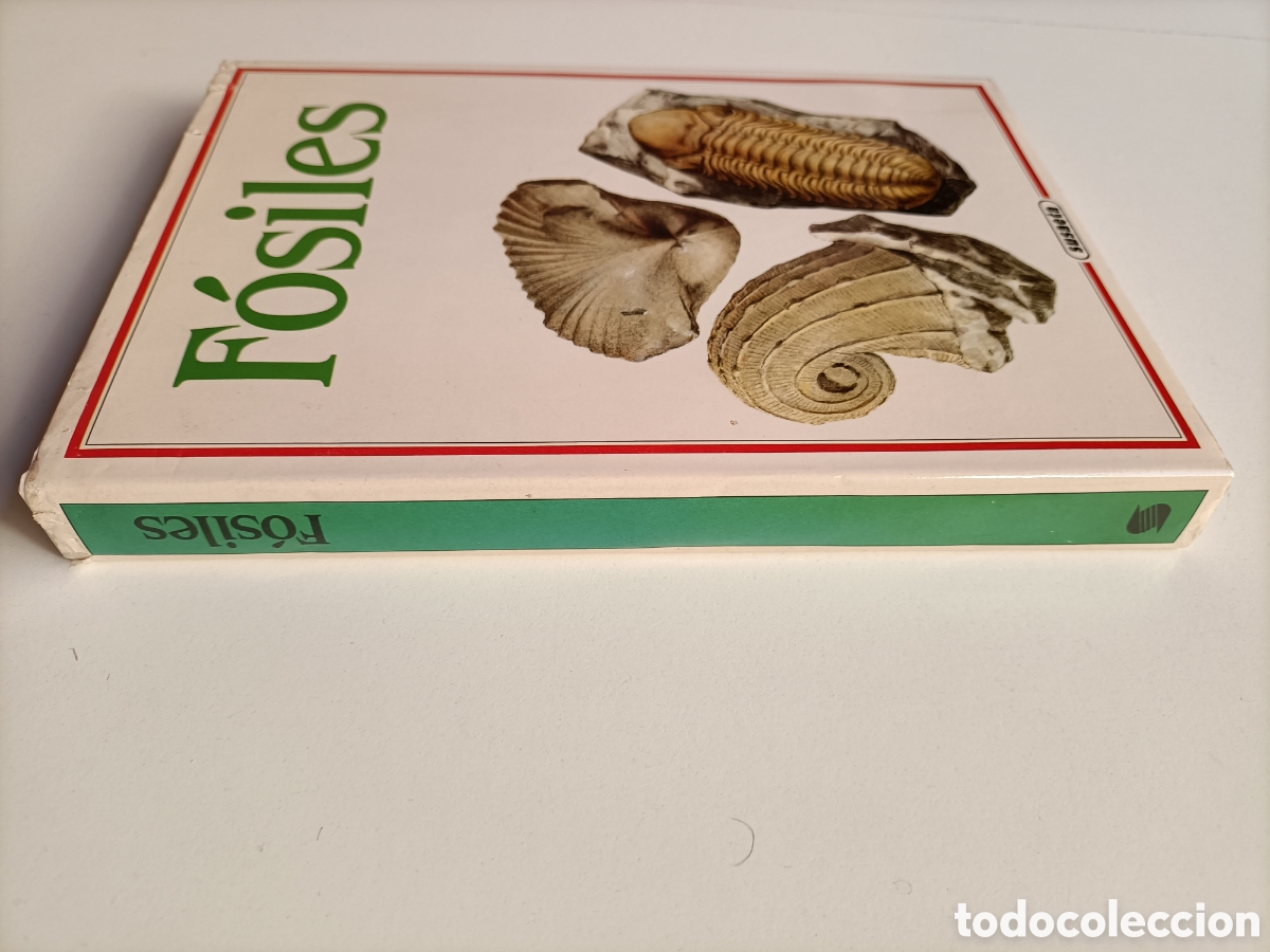 Libros de segunda mano: F&oacute;siles Rudolf Prokop - Foto 4