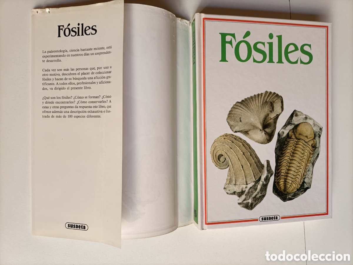 Libros de segunda mano: F&oacute;siles Rudolf Prokop - Foto 6