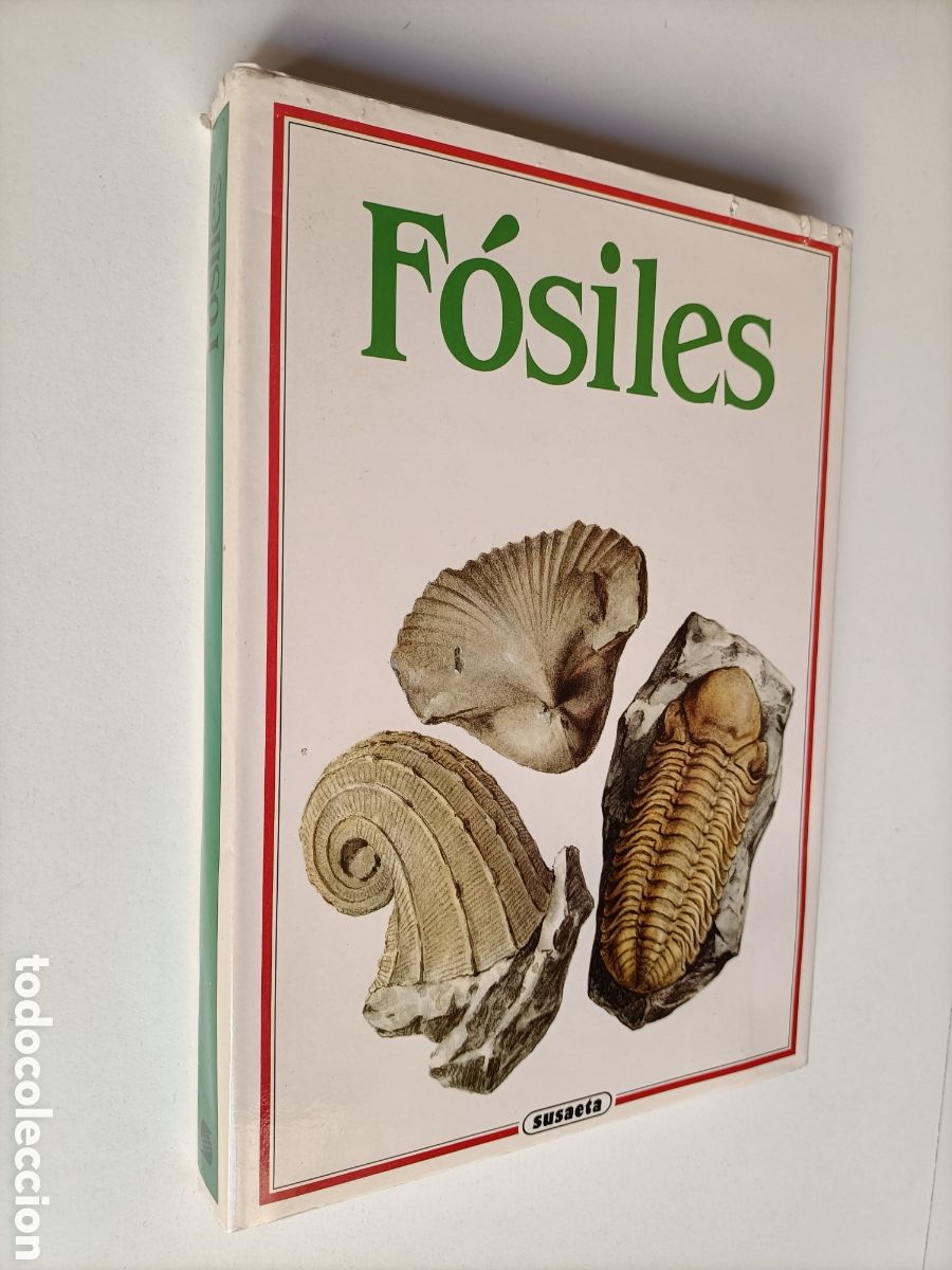 Libros de segunda mano: F&oacute;siles Rudolf Prokop - Foto 1