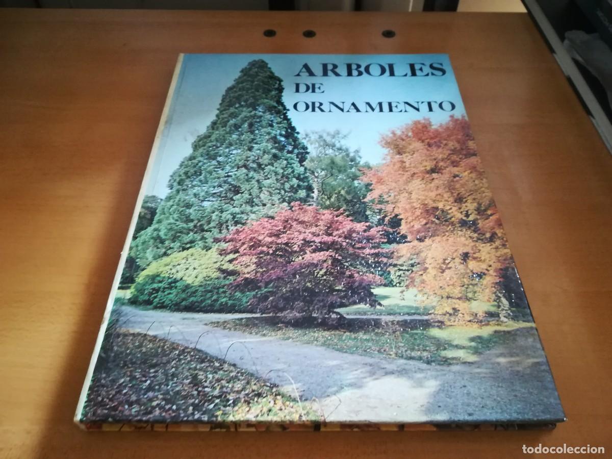 Libros de segunda mano: ARBOLES DE ORNAMENTO / ROY LANCASTER / FLORAISSE / CONS35B - Foto 1