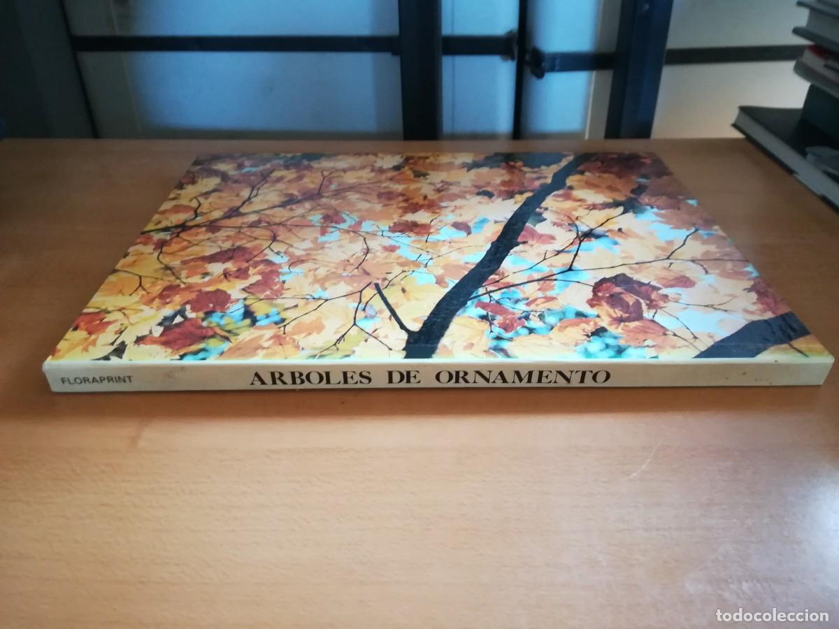 Libros de segunda mano: ARBOLES DE ORNAMENTO / ROY LANCASTER / FLORAISSE / CONS35B - Foto 2