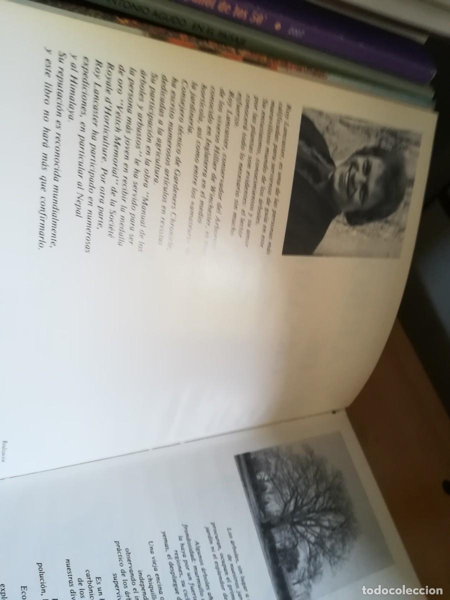 Libros de segunda mano: ARBOLES DE ORNAMENTO / ROY LANCASTER / FLORAISSE / CONS35B - Foto 6
