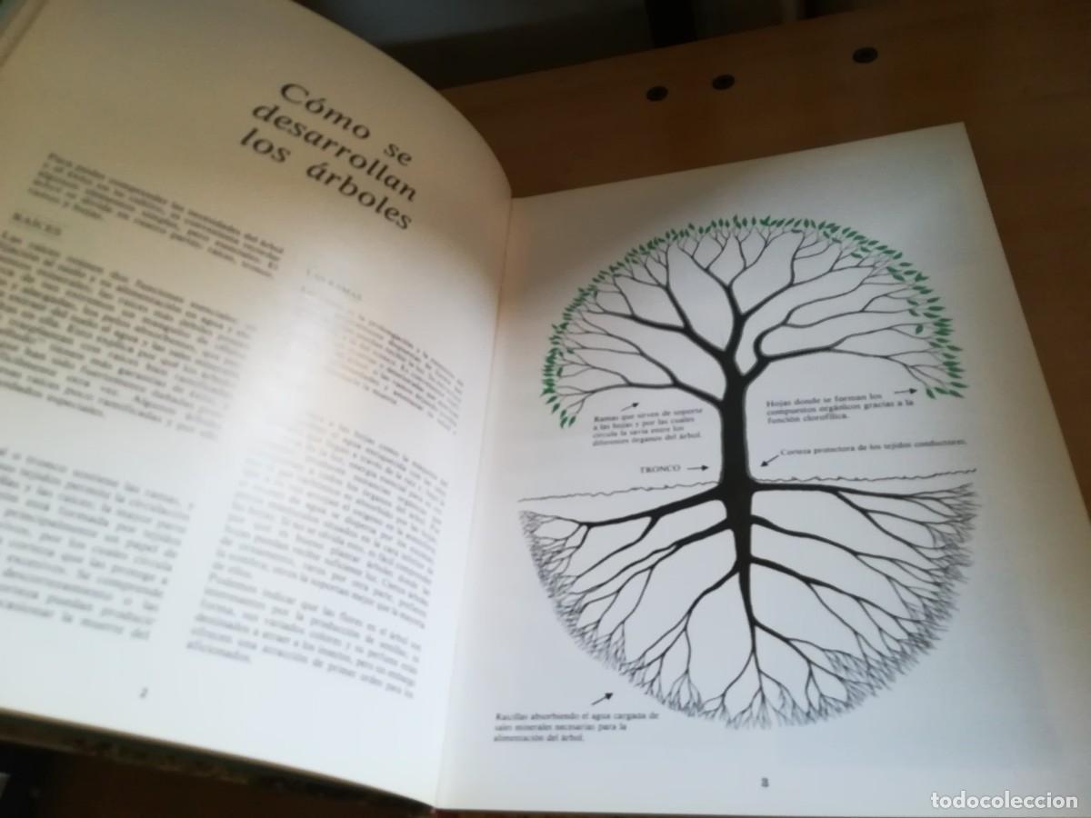 Libros de segunda mano: ARBOLES DE ORNAMENTO / ROY LANCASTER / FLORAISSE / CONS35B - Foto 8