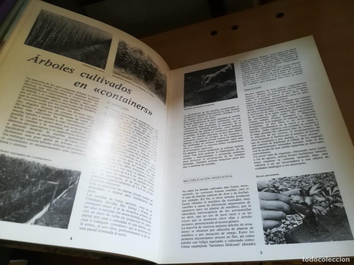 Libros de segunda mano: ARBOLES DE ORNAMENTO / ROY LANCASTER / FLORAISSE / CONS35B - Foto 9