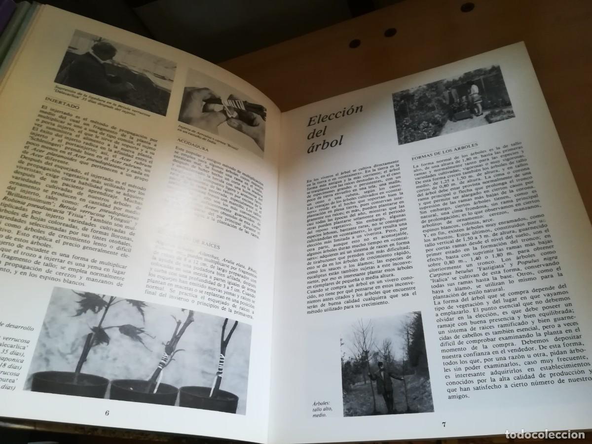 Libros de segunda mano: ARBOLES DE ORNAMENTO / ROY LANCASTER / FLORAISSE / CONS35B - Foto 10