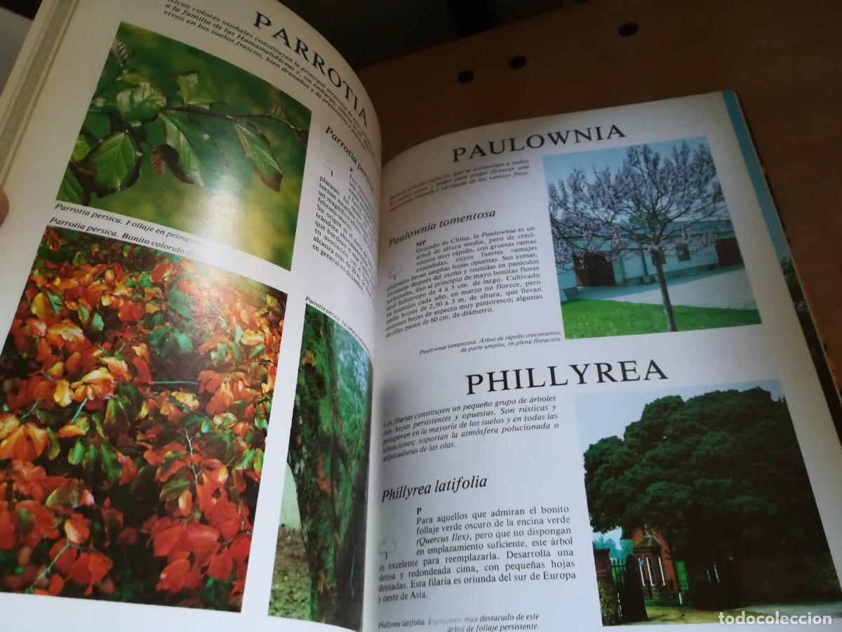 Libros de segunda mano: ARBOLES DE ORNAMENTO / ROY LANCASTER / FLORAISSE / CONS35B - Foto 11