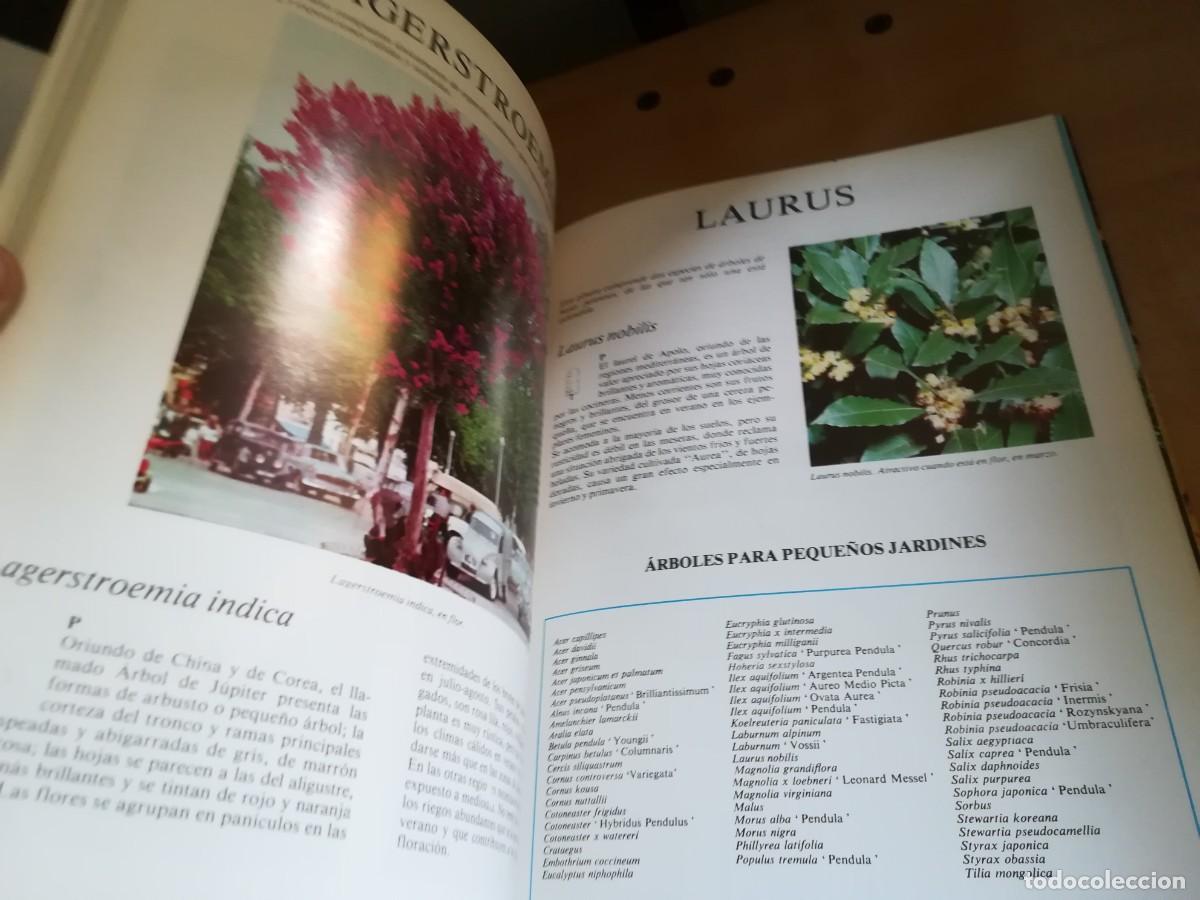 Libros de segunda mano: ARBOLES DE ORNAMENTO / ROY LANCASTER / FLORAISSE / CONS35B - Foto 12