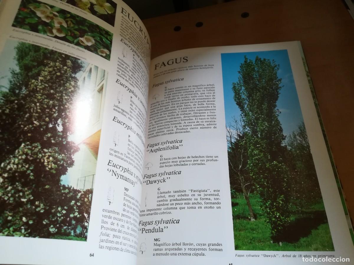 Libros de segunda mano: ARBOLES DE ORNAMENTO / ROY LANCASTER / FLORAISSE / CONS35B - Foto 14