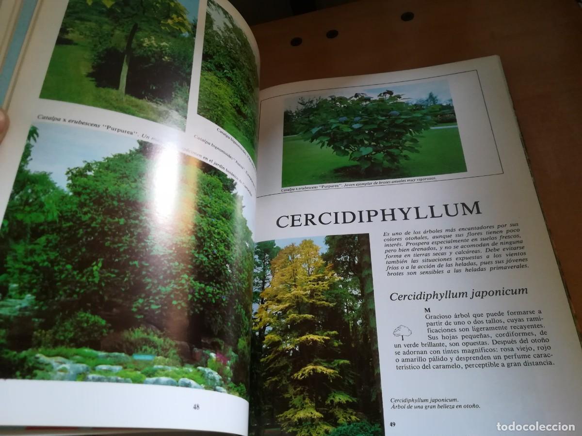 Libros de segunda mano: ARBOLES DE ORNAMENTO / ROY LANCASTER / FLORAISSE / CONS35B - Foto 15