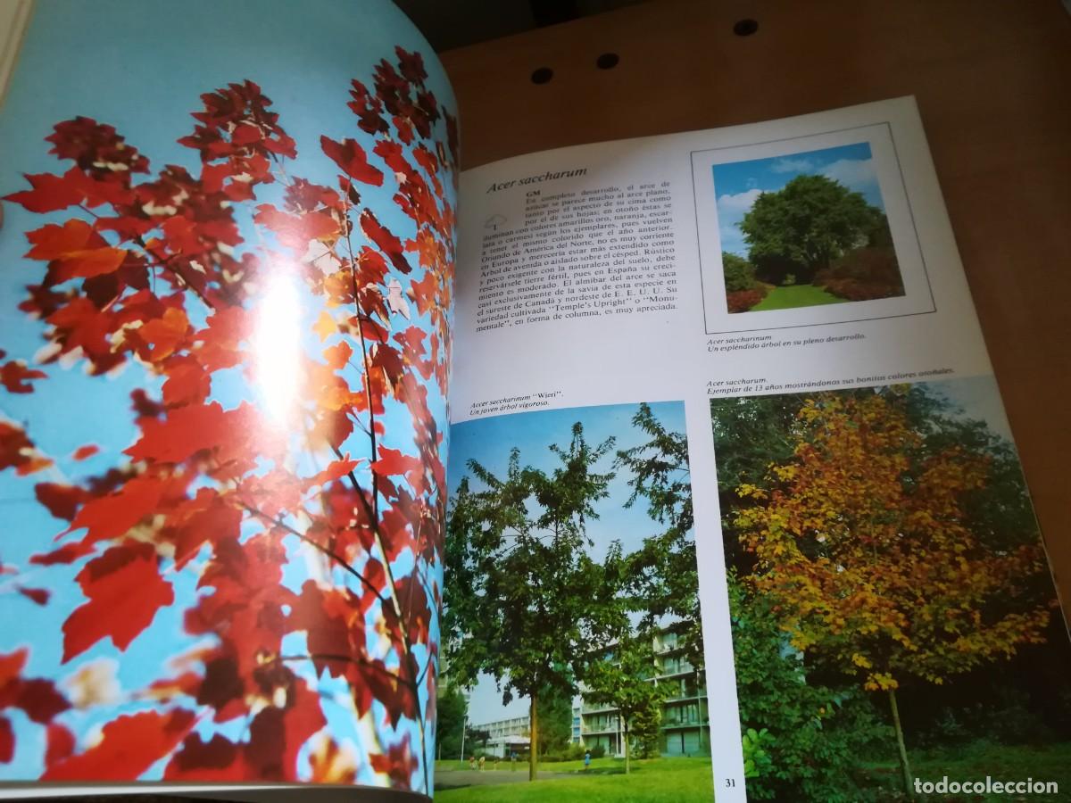 Libros de segunda mano: ARBOLES DE ORNAMENTO / ROY LANCASTER / FLORAISSE / CONS35B - Foto 16