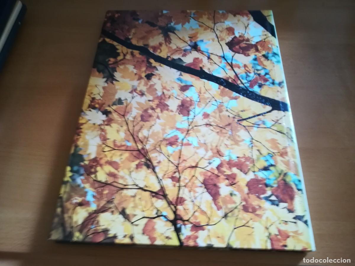 Libros de segunda mano: ARBOLES DE ORNAMENTO / ROY LANCASTER / FLORAISSE / CONS35B - Foto 19