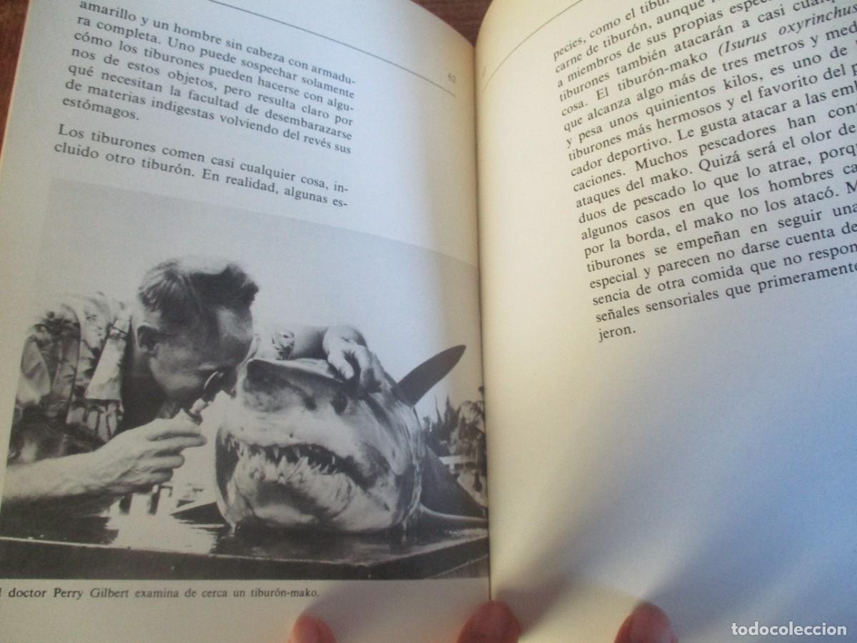 Libros de segunda mano: DALE COPPS El tibur&oacute;n W18601 - Foto 2
